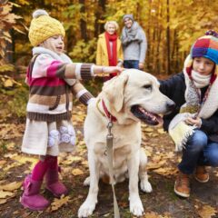 Kinderen aaien hond in het bos