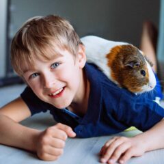 Jongetje speelt met cavia